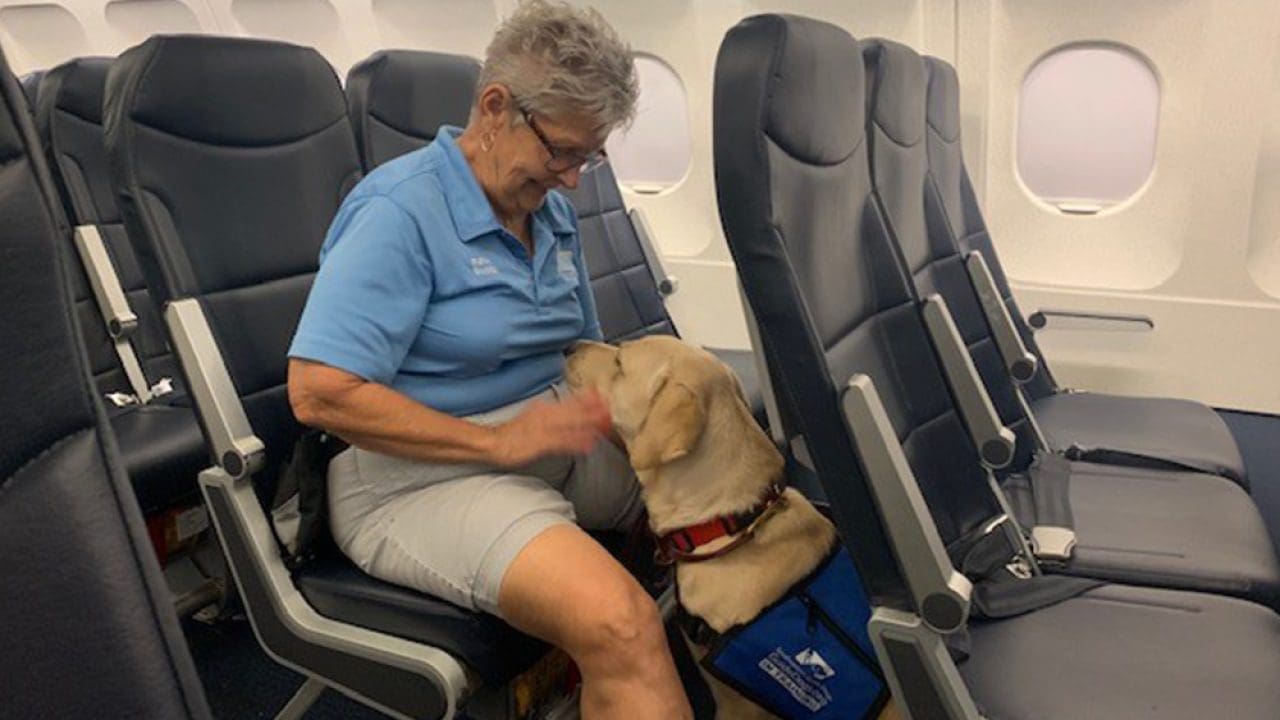 Woman on airplane with service dog