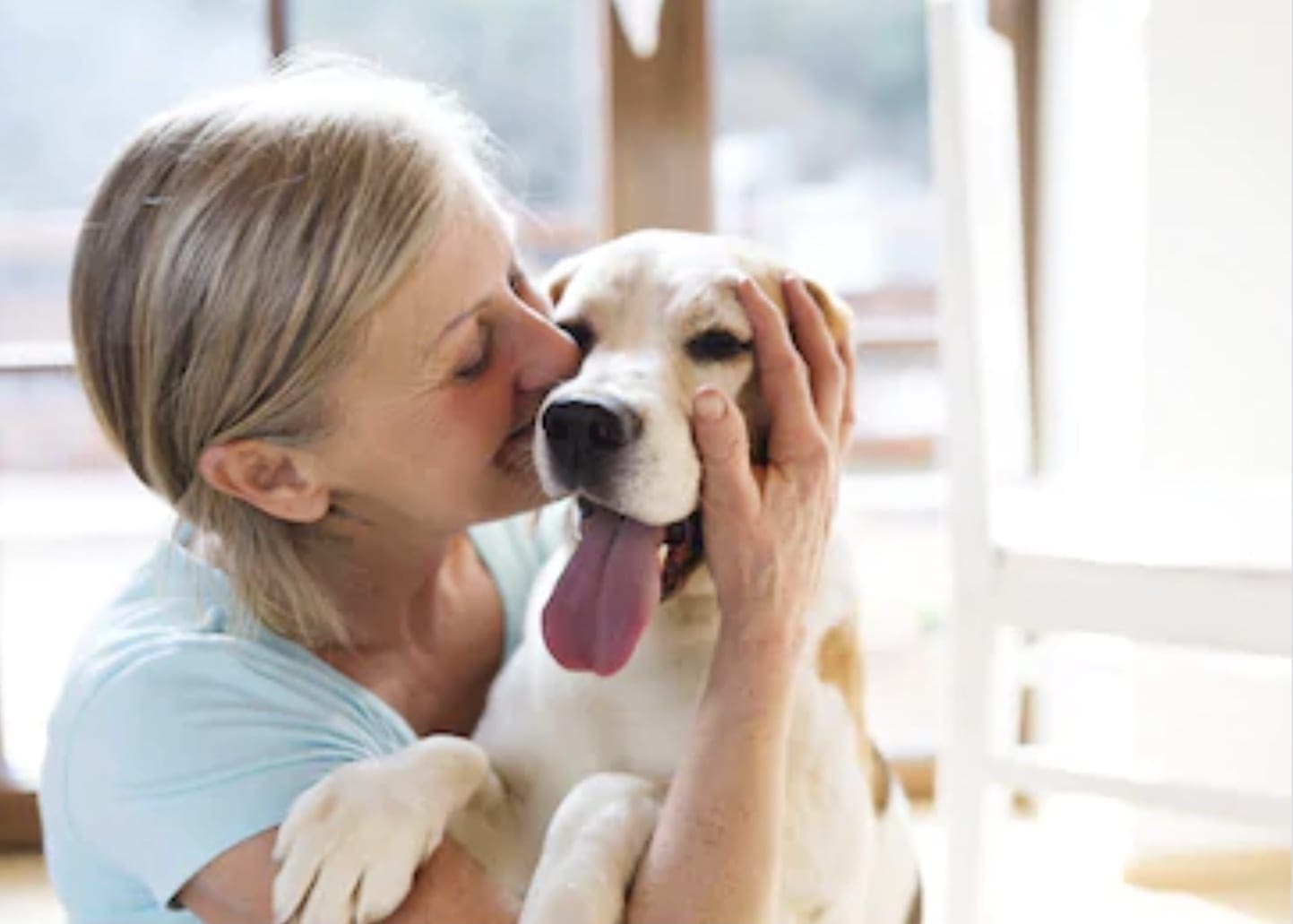 Service dog assisting a handler