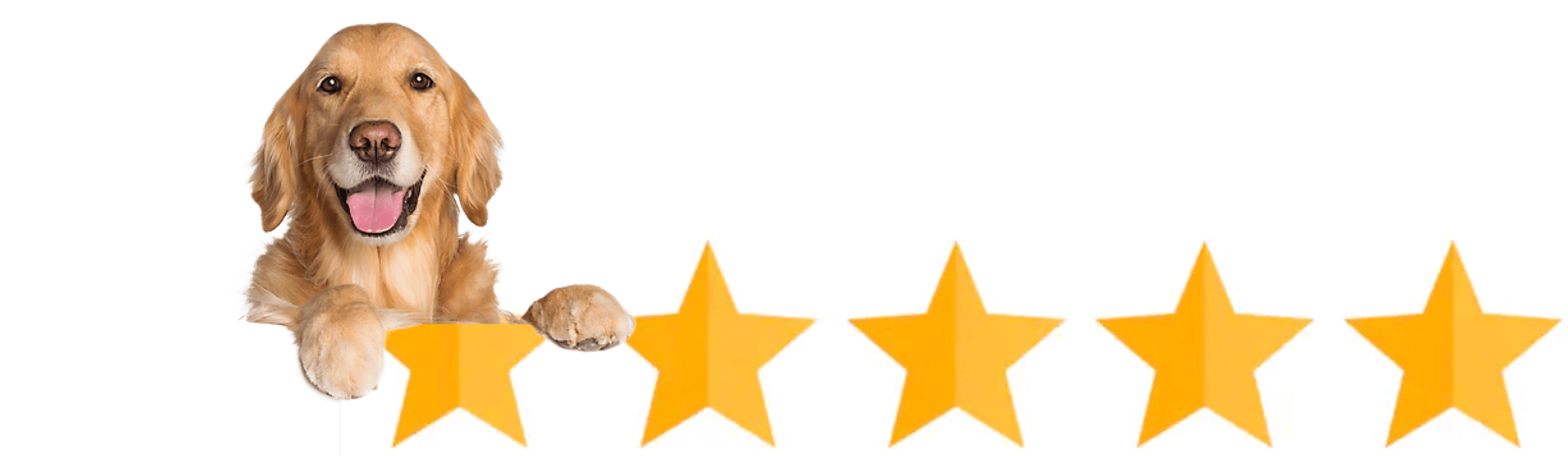Five-star rating graphic