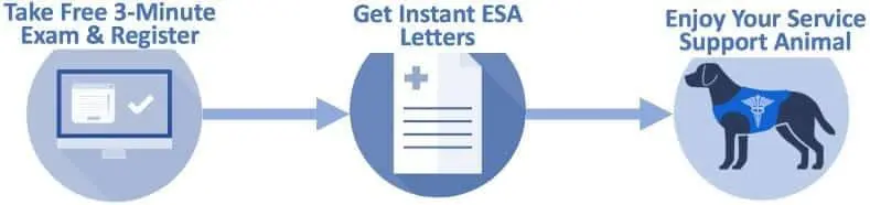 Three steps: Apply, Consult, Get Approved