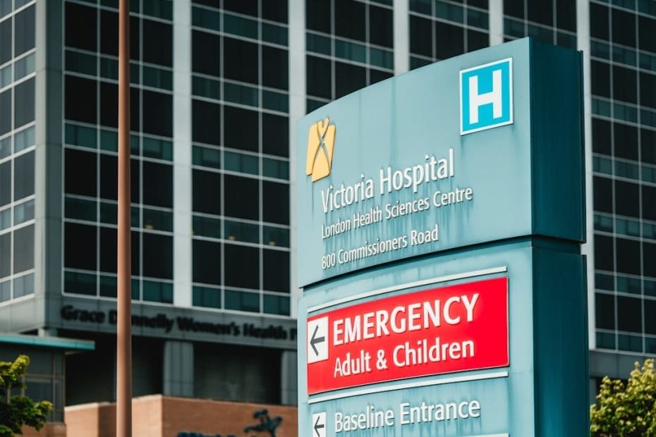 VA service dog benefits — 7 Key VA Service Dog Benefits Under the PAWS Act Every Veteran Should Know