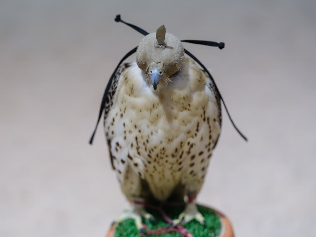 prison puppy programs — A small bird sitting on top of a small figurine