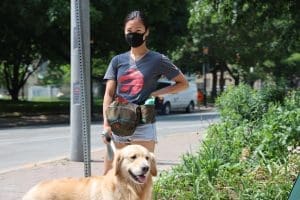 7 Free Service Dog Programs for Veterans — Complete Guide to No-Cost Applications