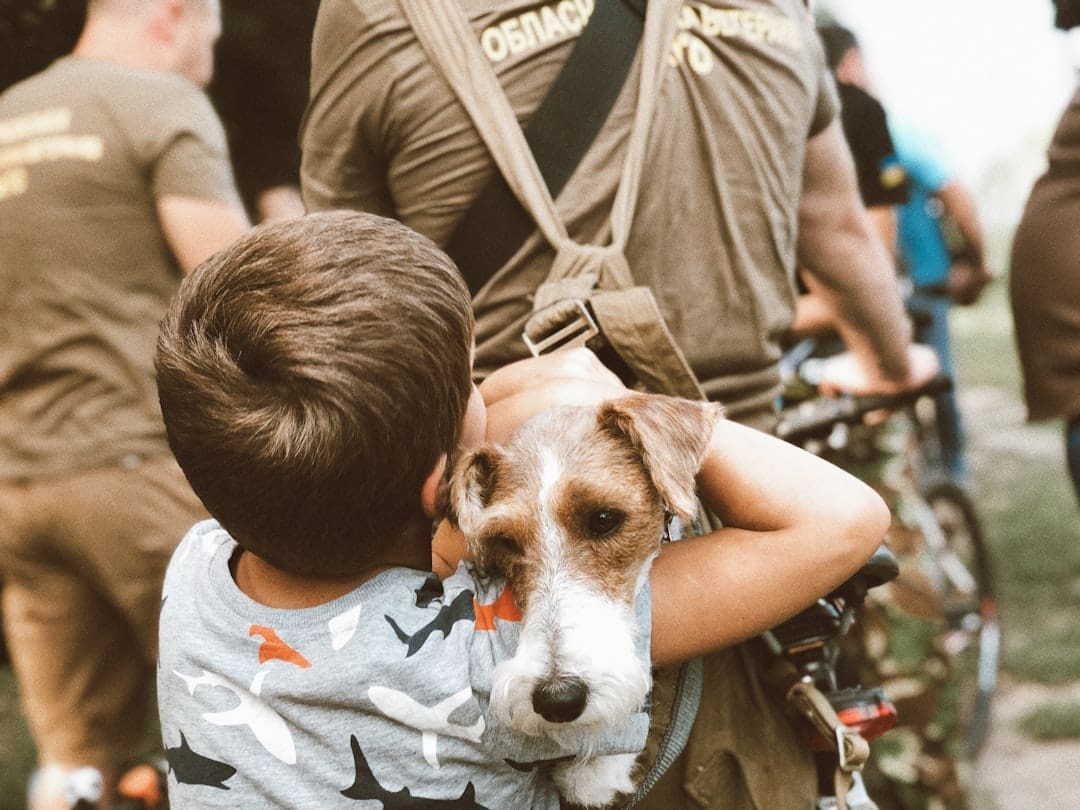 free service dogs for veterans — man in gray crew neck t-shirt carrying brown and white short coated dog