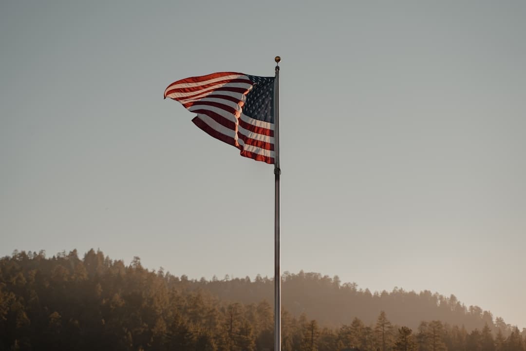 free service dogs for veterans — us a flag on pole during daytime